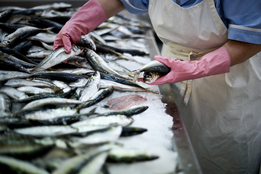 Portugal, junto a Malta, es uno de los países del Mediterráneo que produce mayor huella ecológica. Se debe principalmente a una dieta rica en proteínas y a un alto consumo de pescado con su correspondiente impacto en los mares. En la foto, una mujer vende sardinas en un mercado de Lisboa. Patricia de Melo/AFP/Getty Images