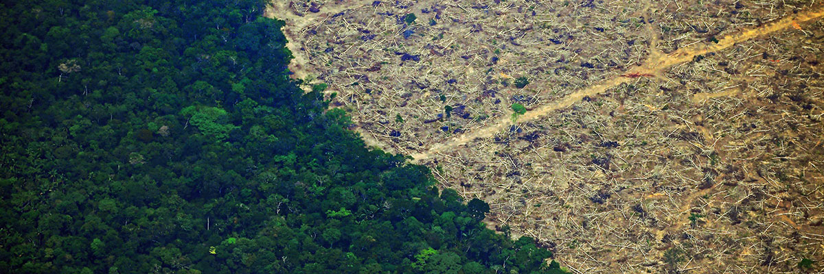 Amazonia_deforestacion_portada