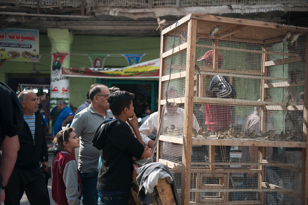 Por menos de un dólar, cualquiera puede comprar un ave en la calle Mutanabbi. Después, el comprador deja al pájaro en libertad, por la creencia de que, de esa forma, evita el mal de ojo y la mala suerte y adquiere buena fortuna. FOTO: CRISISGROUP/Julie David de Lossy