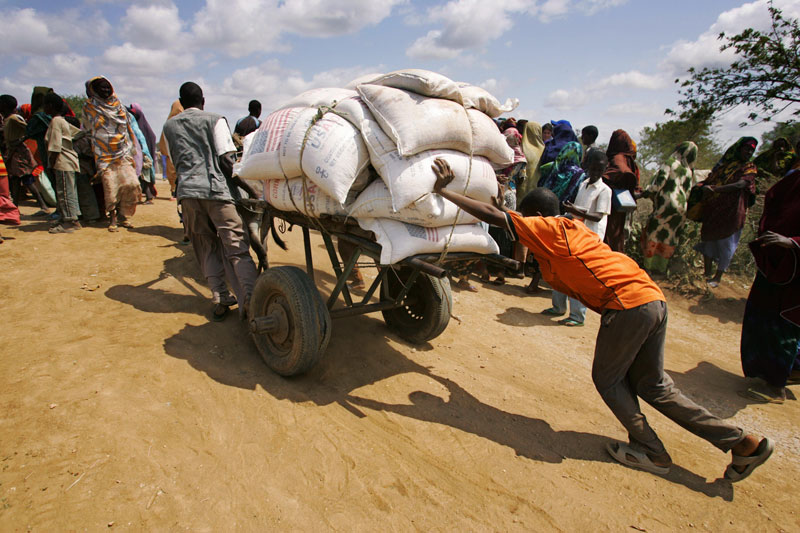 Nacido en el Cuerno de África. Somalia y Eritrea se llevan la palma disputándose el primer puesto del índice sobre trabajo infantilelaborado por la compañía de análisis de riesgo Maplecroft, que evalúa los casos de abusos en este ámbito, la respuesta de los Estados a la hora de combatirlos y castigar a los responsables. Sus respectivos gobiernos han hecho muy poco por acabar con las peores formas de trabajo infantil. En el caso de Eritrea incluso es fomentado desde la administración: el Ejecutivo sigue respaldando el proyecto Mahtot, que obliga a menores a realizar tareas en el servicio doméstico o en la agricultura durante las vacaciones escolares. En Somalia la situación es similar, pero empeora por el contexto de violencia que atraviesa el país, ya que muchos pequeños son reclutados por el Ejército somalí y otros abducidos por milicias y grupos terroristas como Al Shabaad para usarlos como niños soldado. En la foto un niño somalí empuja un carro cargado con comida del Programa Mundial de Alimentos de la ONU para distribuirlo entre las familias locales. © AFP/Getty Images