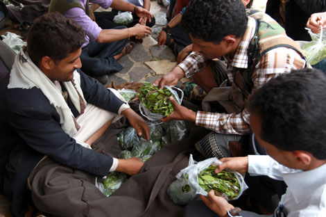 Hombres yemeníes comprueban la calidad de las hojas de qat. Mohammed Huwais/AFP/Getty Images