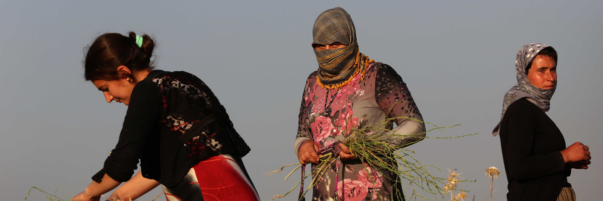 Desplazados yazidíes amezadados por el Estado Islámico . (Safin Hamed/AFP/Getty Images)