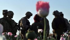Destruir los laboratorios de drogas en Afganistán, ¿el fin de los talibanes?