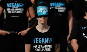 El veganismo como creencia