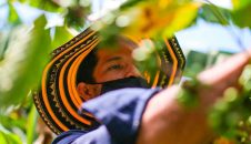 La tensión entre sostenibilidad, personas y territorio en América Latina