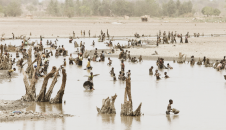 El nexo entre el conflicto violento y la degradación de los recursos en El Sahel