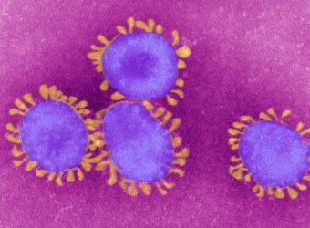 Coronavirus: ¿estamos preparados?