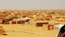 El Sáhara, 41 años sin presente